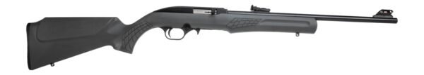 Rossi RS22L1811G RS22  22 LR 10+1 18" Black Matte Barrel, Black Aluminum 3/8" Dovetail Receiver, Fixed Gray Synthetic Stock