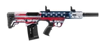 GFORCE ARMS GFY1 12/18.5 USA/BLK 5+1